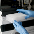 Нажмите, чтобы увеличить Laboratory photo